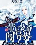 帶足裝備闖異界小說
