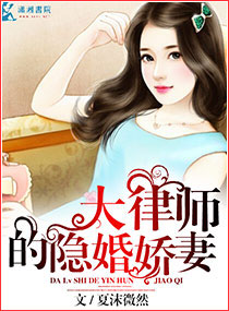 大律師的隱婚妻小說