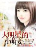 大明星的小萌妻小說
