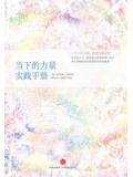 當下的力量實踐手冊小說