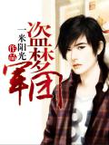 盜夢軍團小說