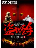 盜世聖手小說