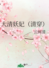 大清妖妃（清穿）小說