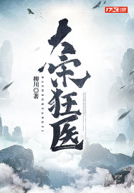 大宋狂醫小說