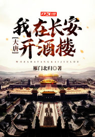 大唐：我在長安開酒樓小說
