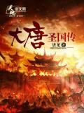 大唐聖國傳小說