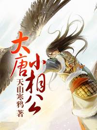 大唐小相公小說