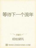 等待下一個流年小說
