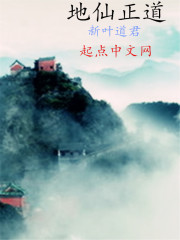 地仙正道小說