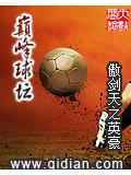 巔峰球壇小說