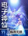 電子神仙小說