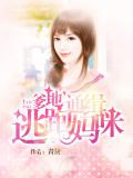 爹地，通緝逃跑媽咪小說