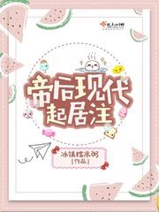 帝后現代起居注小說