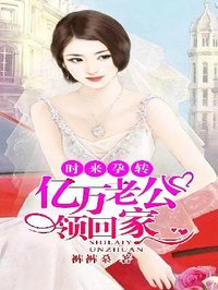 頂頭boss：最貴男公關小說