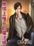 地球上唯一的魔法師小說