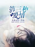 第三種愛情小說