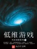低維遊戲小說