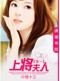 第一上將夫人小說