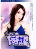 第一總裁夫人：VIP情人小說