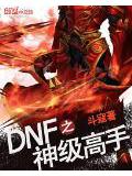 dnf之神級高手小說