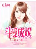 鬥愛成歡小說