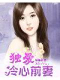 獨愛冷心前妻小說