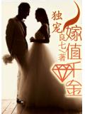 獨寵：嫁值千金小說