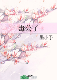 毒公子小說