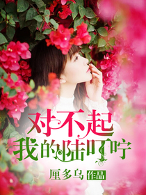 對不起，我的陸叮嚀小說