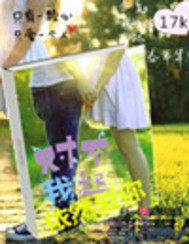 對不起我依然愛你小說