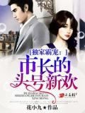獨家霸寵：市長的頭號新歡小說