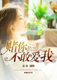 賭你不敢愛我小說