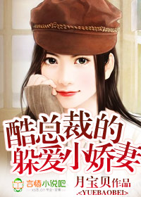 躲愛小說