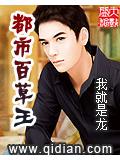 都市百草王小說