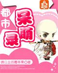 都市呆萌錄小說
