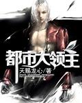 都市大領主小說
