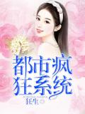 都市瘋狂系統小說