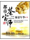 都市鑑寶師小說