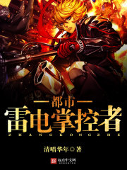 都市雷電掌控者小說