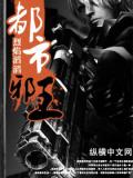 都市邪王小說
