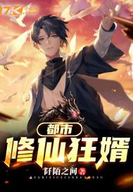 都市修仙狂婿小說