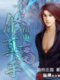 都市修真高手小說