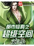 都市修真之超級空間小說