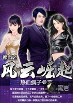 都市之風雲崛起小說