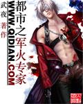 都市之軍火專家小說