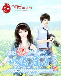 都市之神級高手小說