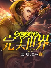 都市之我的完美世界小說