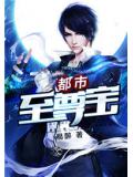 都市至尊寶小說