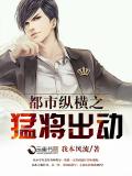 都市縱橫之勐將出動小說