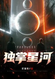 獨掌星河小說